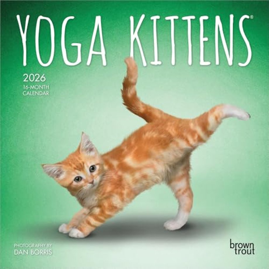 Yoga Kittens 2026 Mini 7x7 Calendar