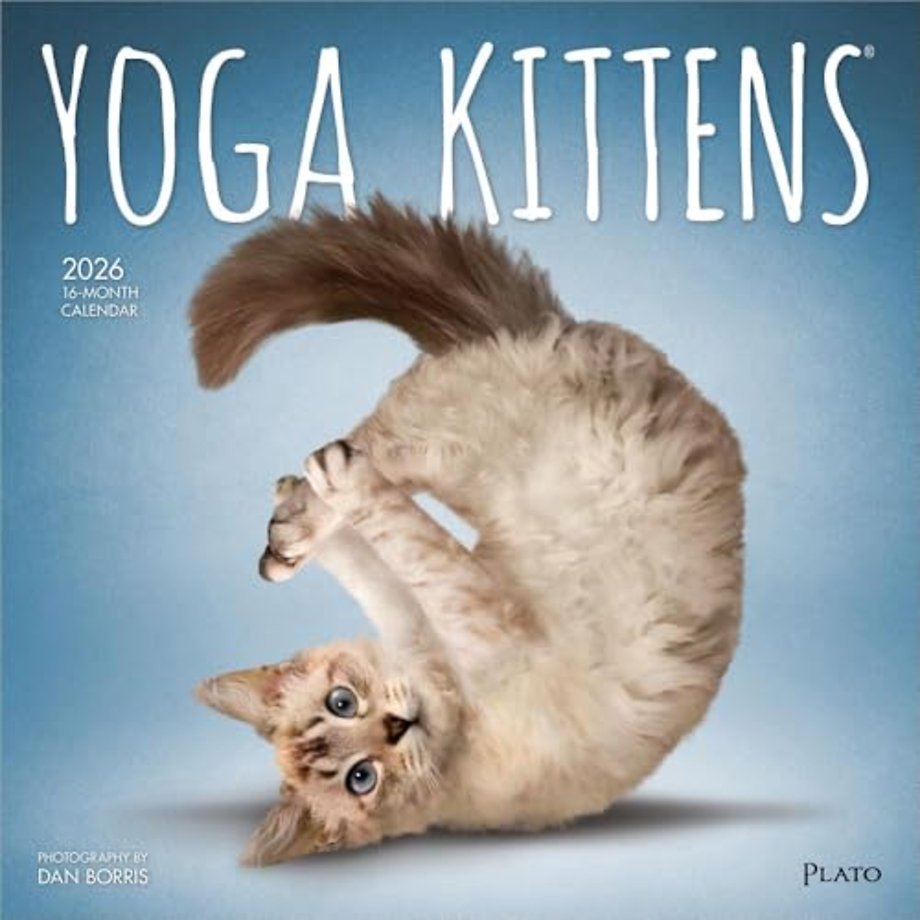 Yoga Kittens 2026 Square Plato Calendar