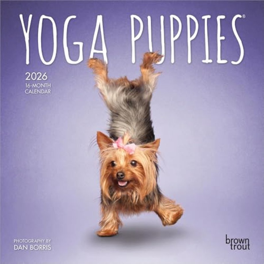 Yoga Puppies 2026 Mini 7x7 Calendar