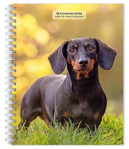 Dachshunds 2026 Engagement Diary
