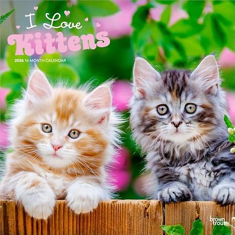 Kittens, I Love 2026 Square Flap Calendar