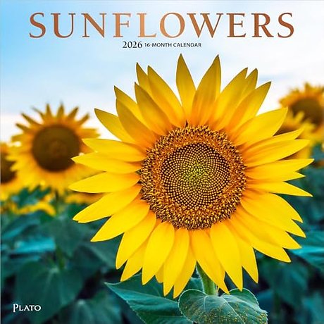 Sunflowers 2026 Square Plato Foil Calendar