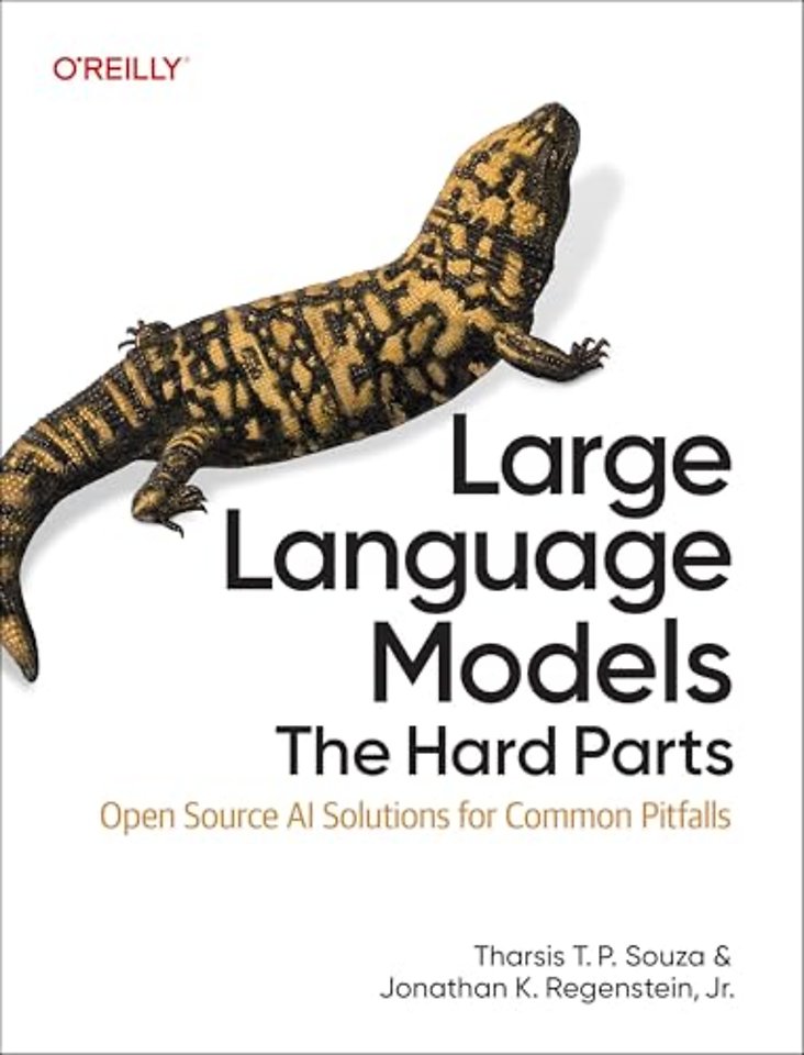 Large Language Models – The Hard Parts