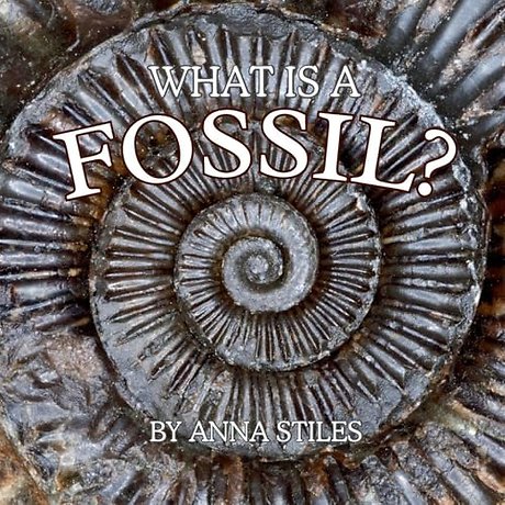 What is a Fossil?