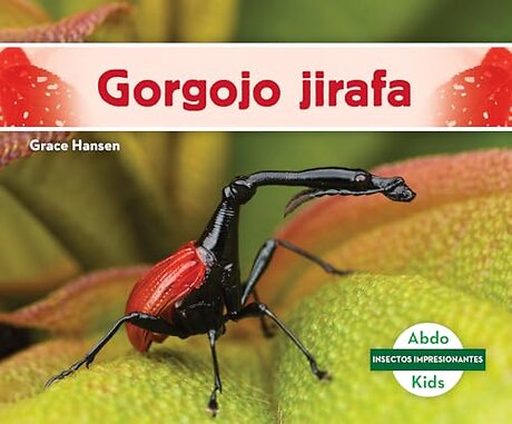 Gorgojo jirafa (Giraffe Weevil)