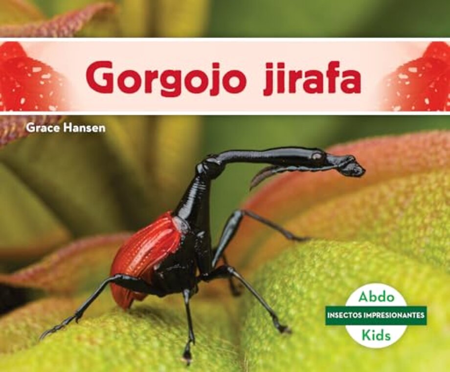 Gorgojo jirafa (Giraffe Weevil)