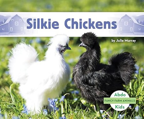 Silkie Chickens