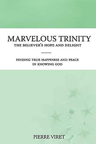 Marvelous Trinity, the Believer's Hope and Delight