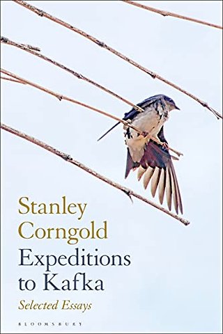 Expeditions to Kafka