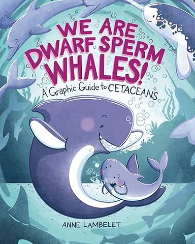 We Are Dwarf Sperm Whales!