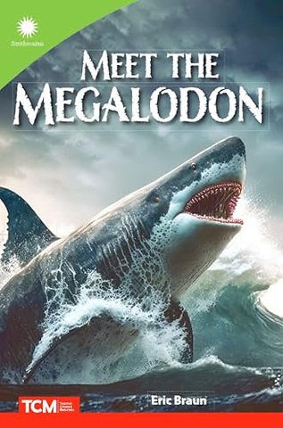 Meet the Megalodon