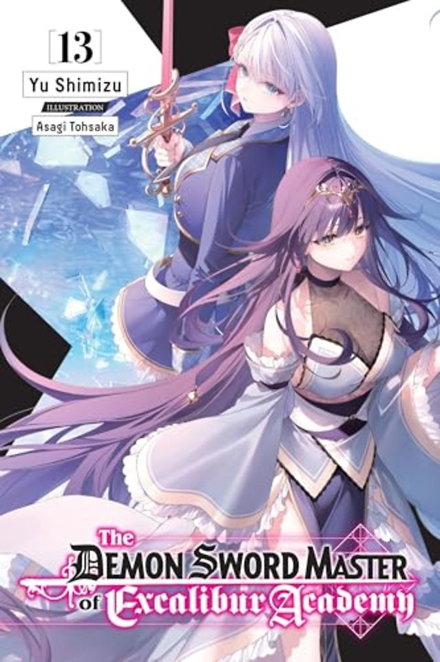 The Demon Sword Master of Excalibur Academy, Vol. 13 (light novel)