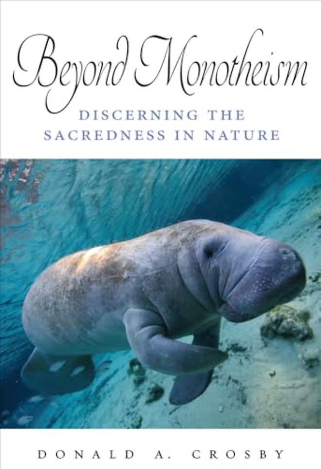 Beyond Monotheism