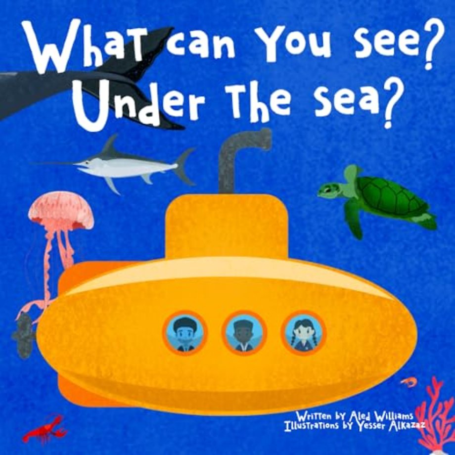 What can you see under the sea?
