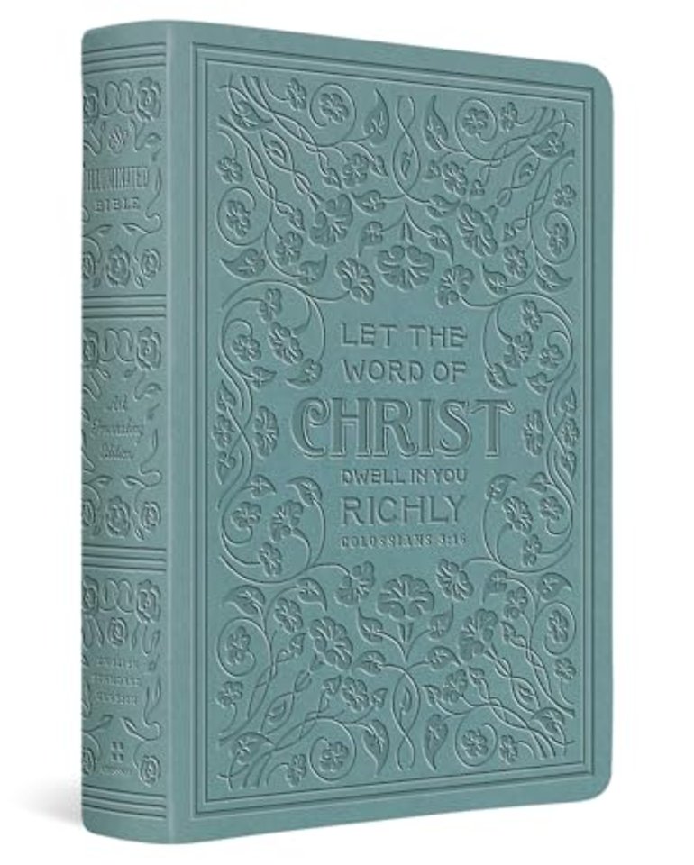ESV Illuminated(tm)Bible, Art Journaling Edition (TruTone, Paris Sky, Colossians 3:16 Design)