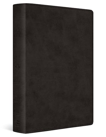 ESV Giant Print Value Personal Size Bible (TruTone, Black)