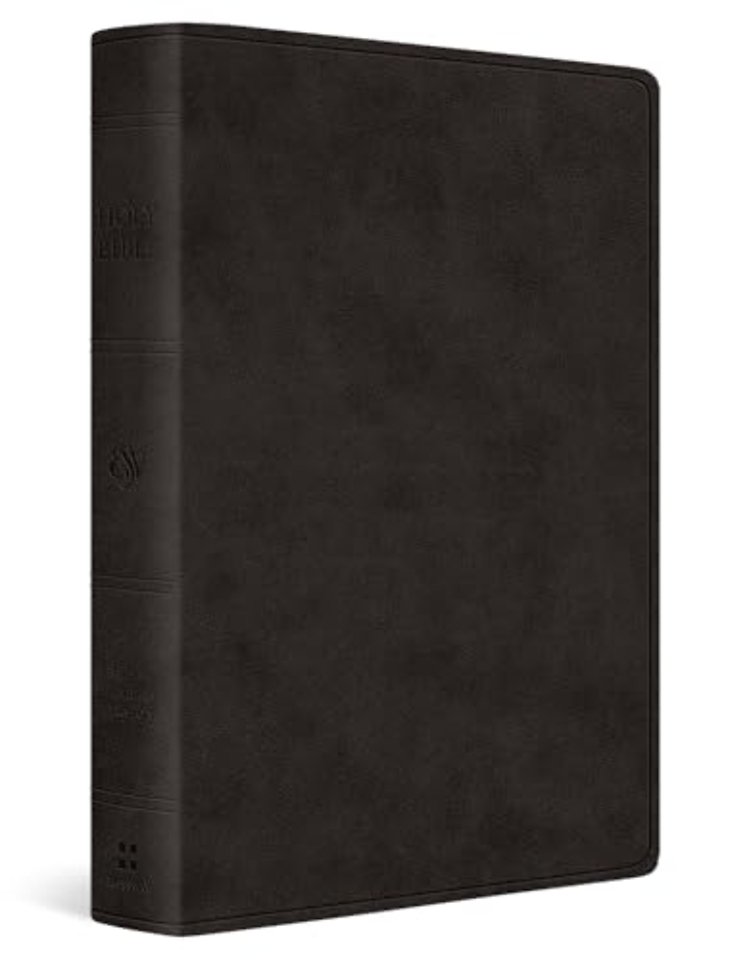 ESV Giant Print Value Personal Size Bible (TruTone, Black)