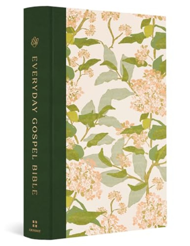 ESV Everyday Gospel Bible, Artist Series – Connecting Scripture to All of Life (Cloth over Board, Lulie Wallace, Grier)