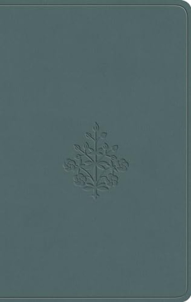 ESV Value Compact Bible (TruTone, Paris Sky, Branch Design)