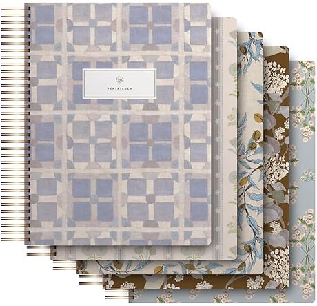 ESV Spiral–Bound Journaling Bible, Five–Volume Set (Hardcover, Cover Artwork by Lulie Wallace)