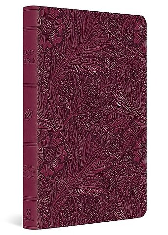 ESV Value Thinline Bible (TruTone, Raspberry, Floral Design)