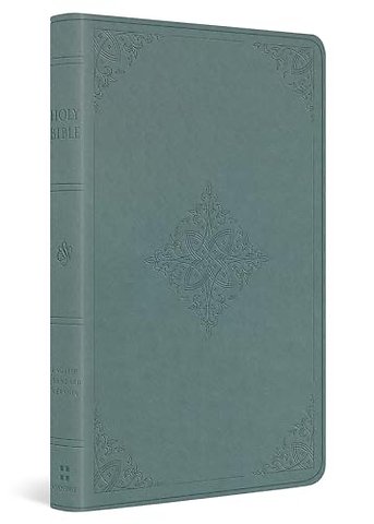 ESV Value Thinline Bible (TruTone, Paris Sky, Fleur–de–lis Design)