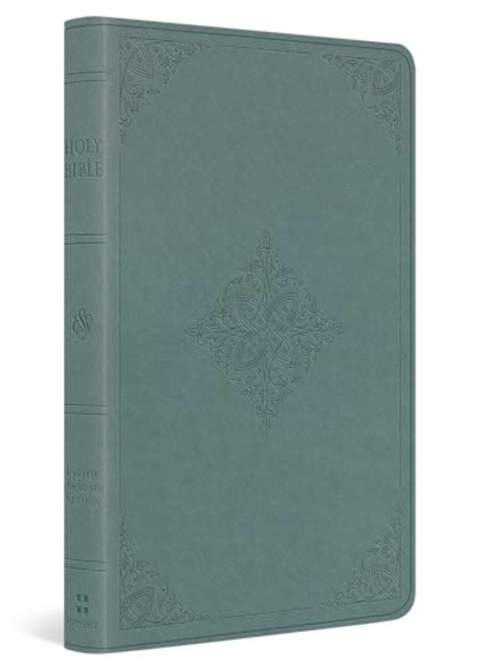 ESV Value Thinline Bible (TruTone, Paris Sky, Fleur–de–lis Design)
