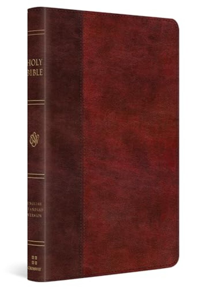 ESV Large Print Thinline Bible (TruTone, Burgundy/Red, Timeless Design)