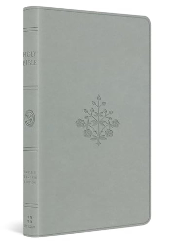ESV Large Print Value Thinline Bible (TruTone, River Stone, Branch Design)