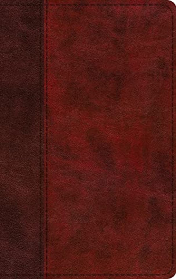 ESV Large Print Thinline Bible, Red Letter (TruTone, Burgundy/Red, Timeless Design)