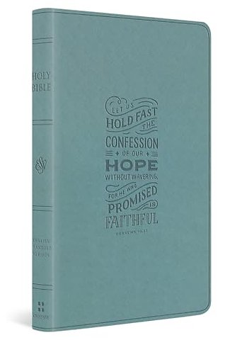 ESV Large Print Value Thinline Bible (TruTone, Paris Sky, Hebrews 10:23 Design)