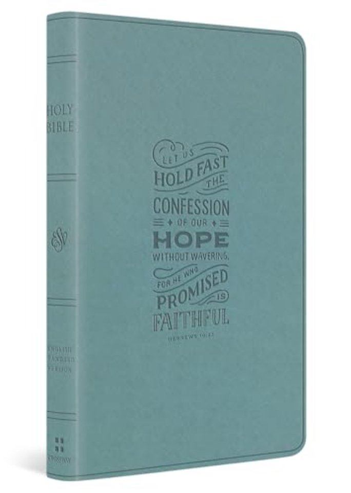 ESV Large Print Value Thinline Bible (TruTone, Paris Sky, Hebrews 10:23 Design)