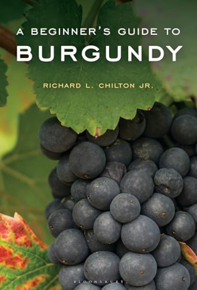A Beginner's Guide to Burgundy