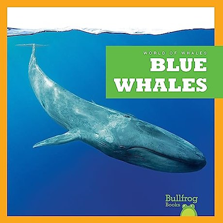Blue Whales
