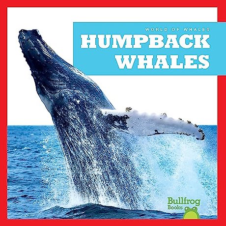 Humpback Whales