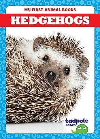 Hedgehogs