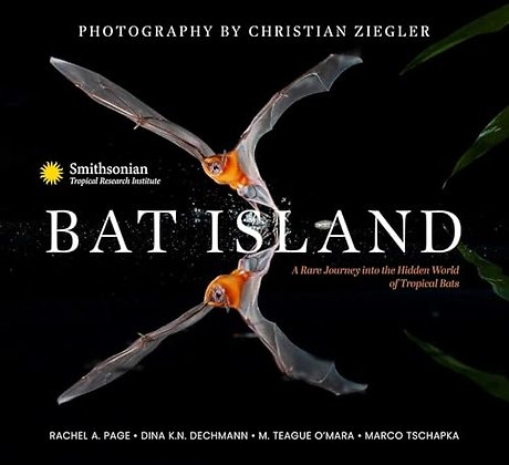 Bat Island