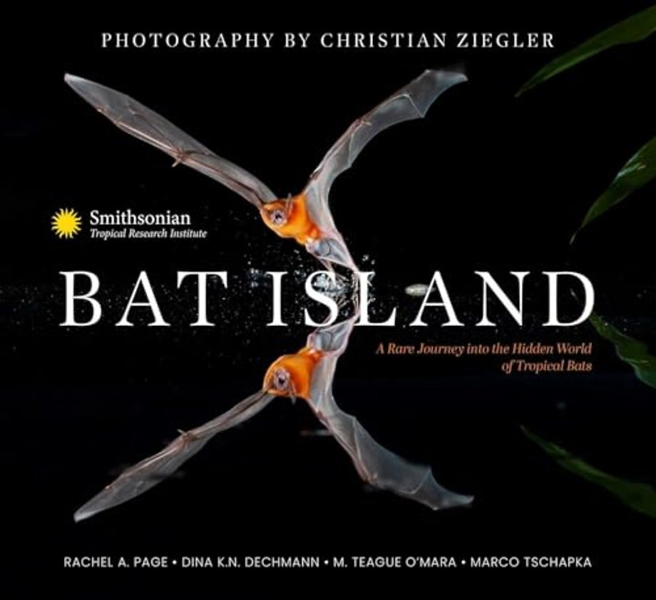 Bat Island