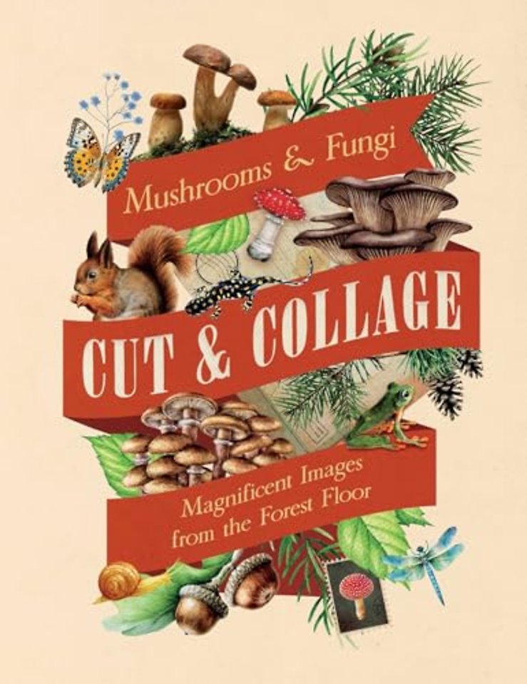 Cut & Collage Mushrooms and Fungi
