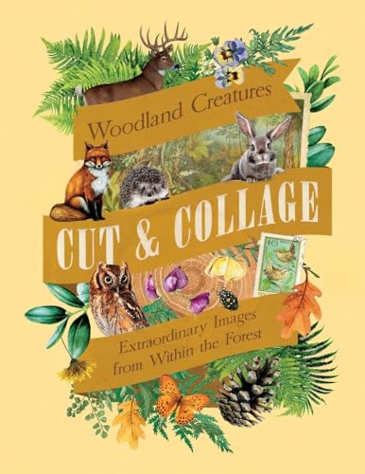 Cut & Collage Woodland Creatures