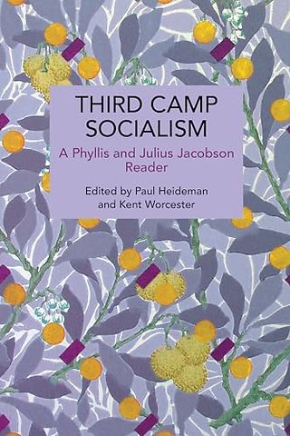 Third Camp Socialism