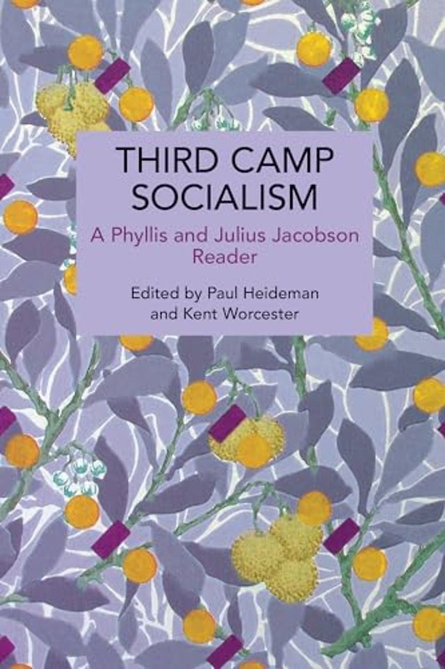 Third Camp Socialism