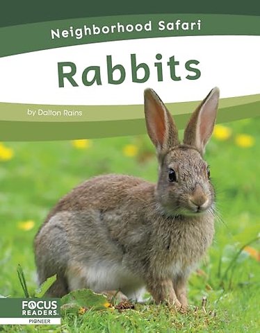 Rabbits