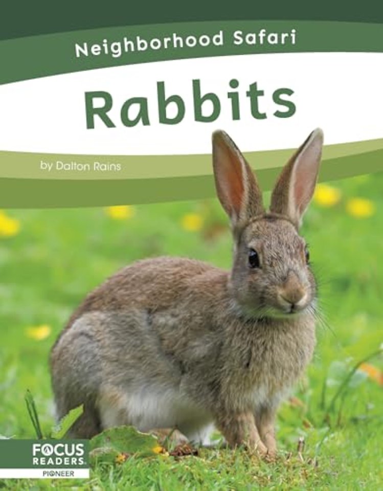 Rabbits