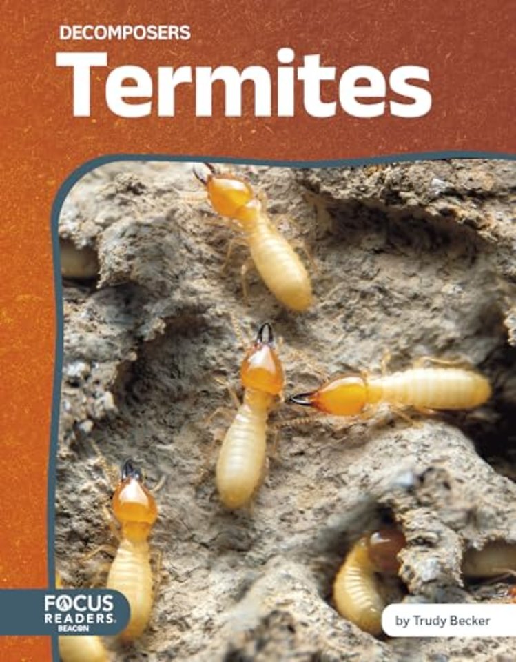 Termites