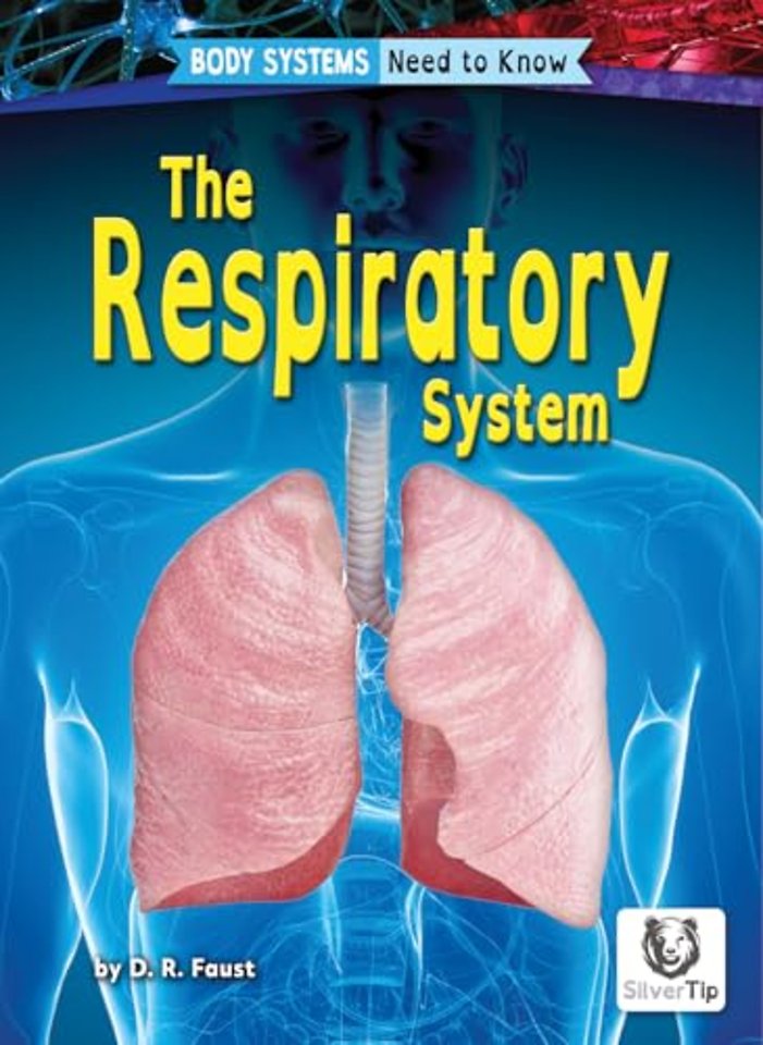 Respiratory System