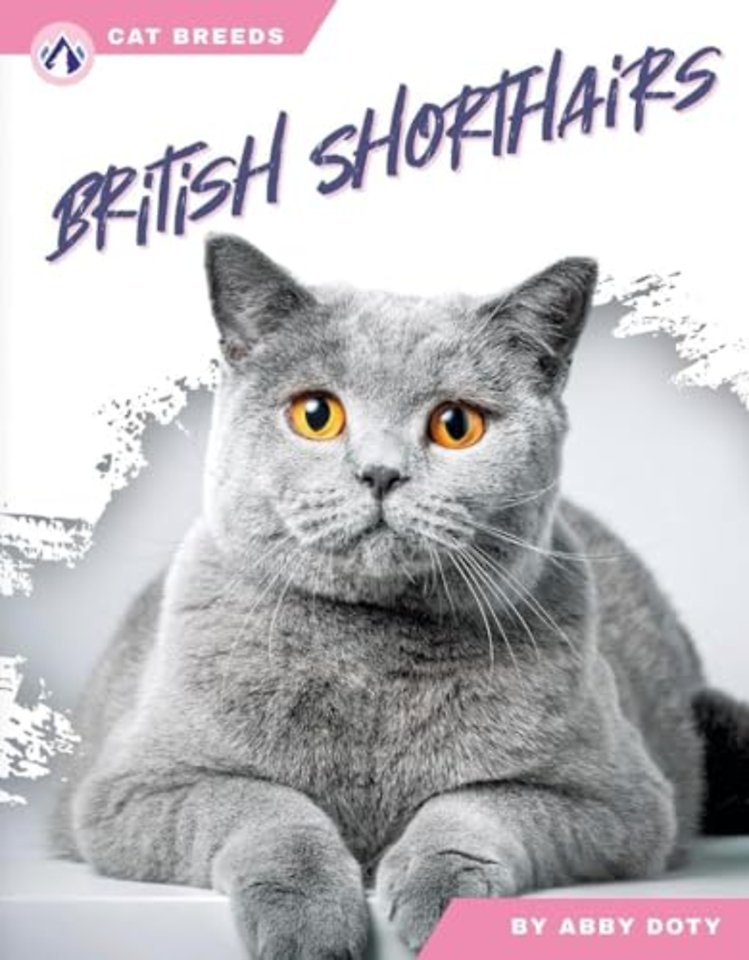 British Shorthairs