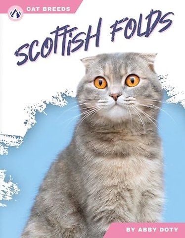 Scottish Folds