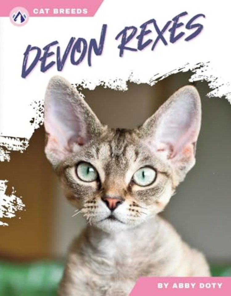 Devon Rexes