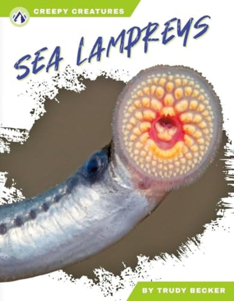 Sea Lampreys